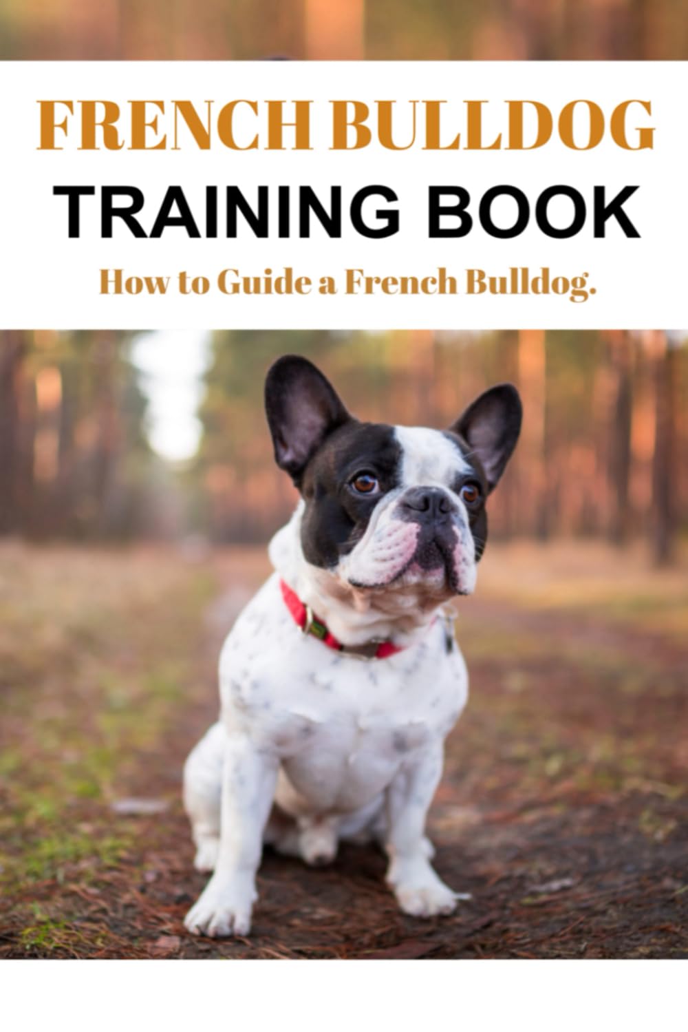 French Bulldog Training Book: How to Guide a French Bulldog