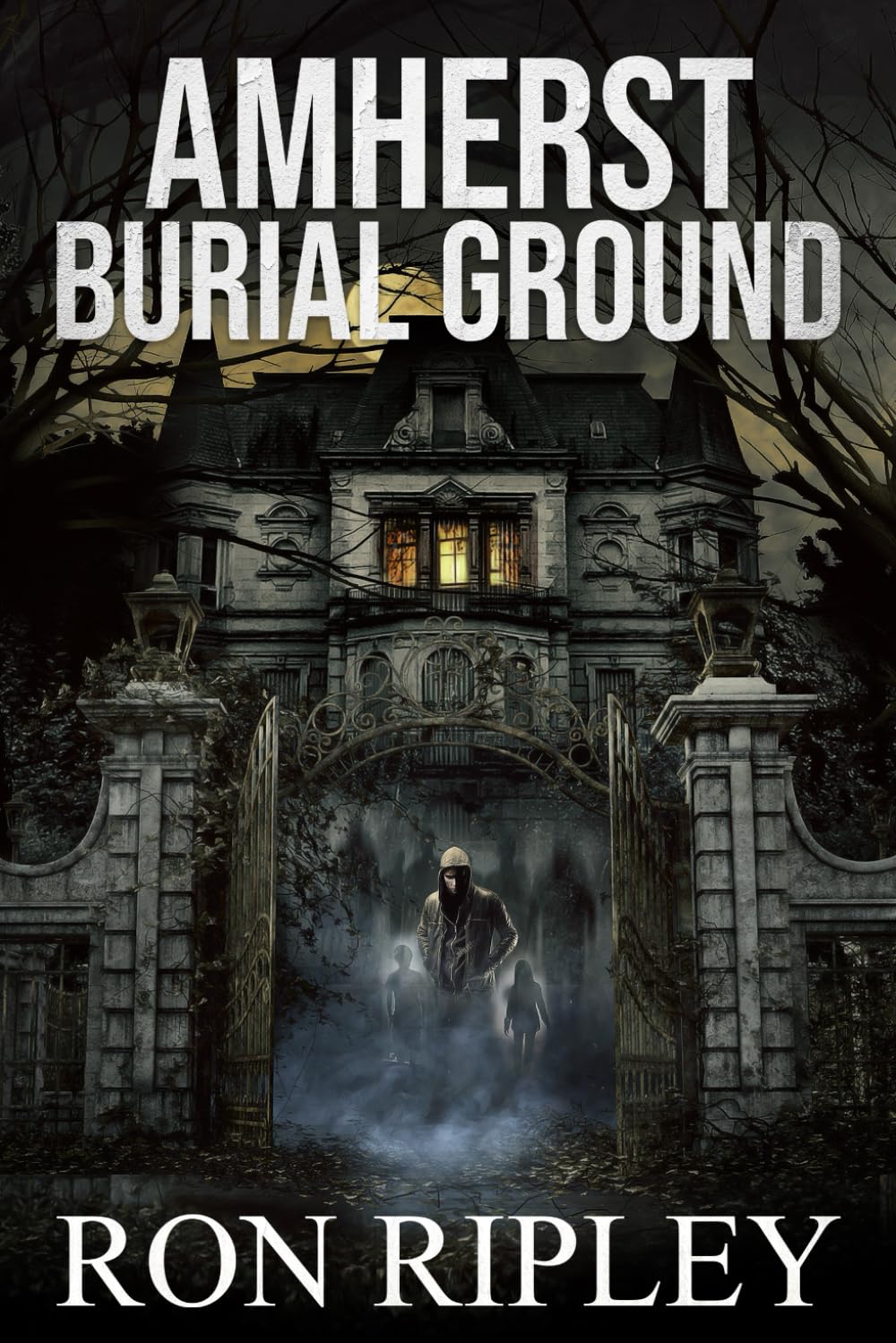 Amherst Burial Ground: Supernatural Horror with Scary Ghosts & Haunted Houses (Berkley Street Series)