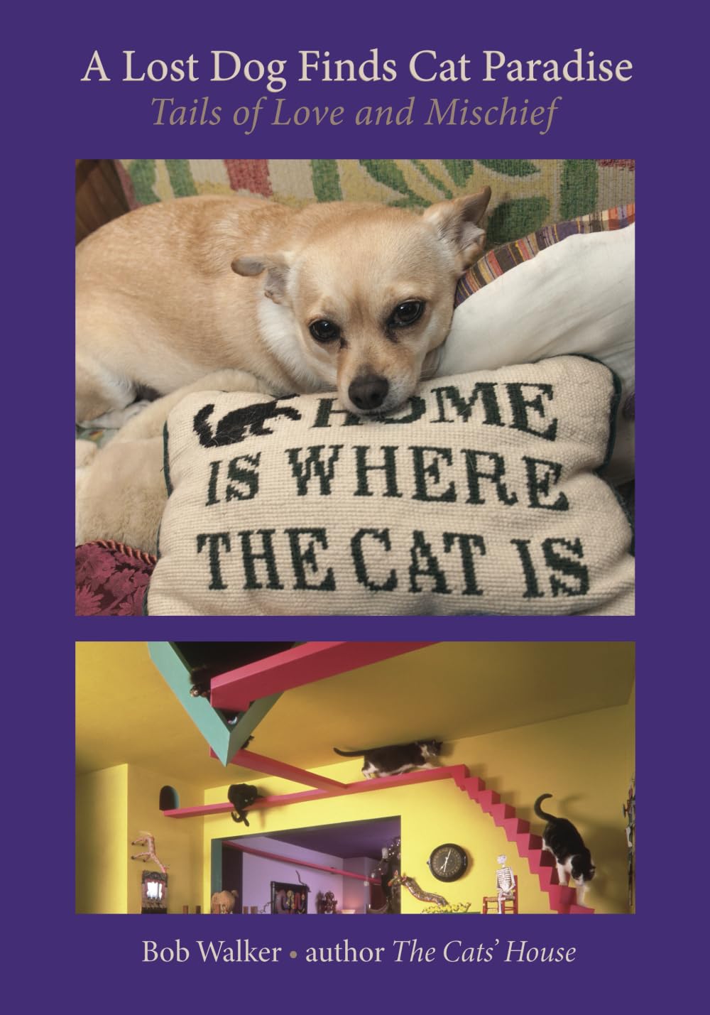 A Lost Dog Finds Cat Paradise: Tails of Love and Mischief