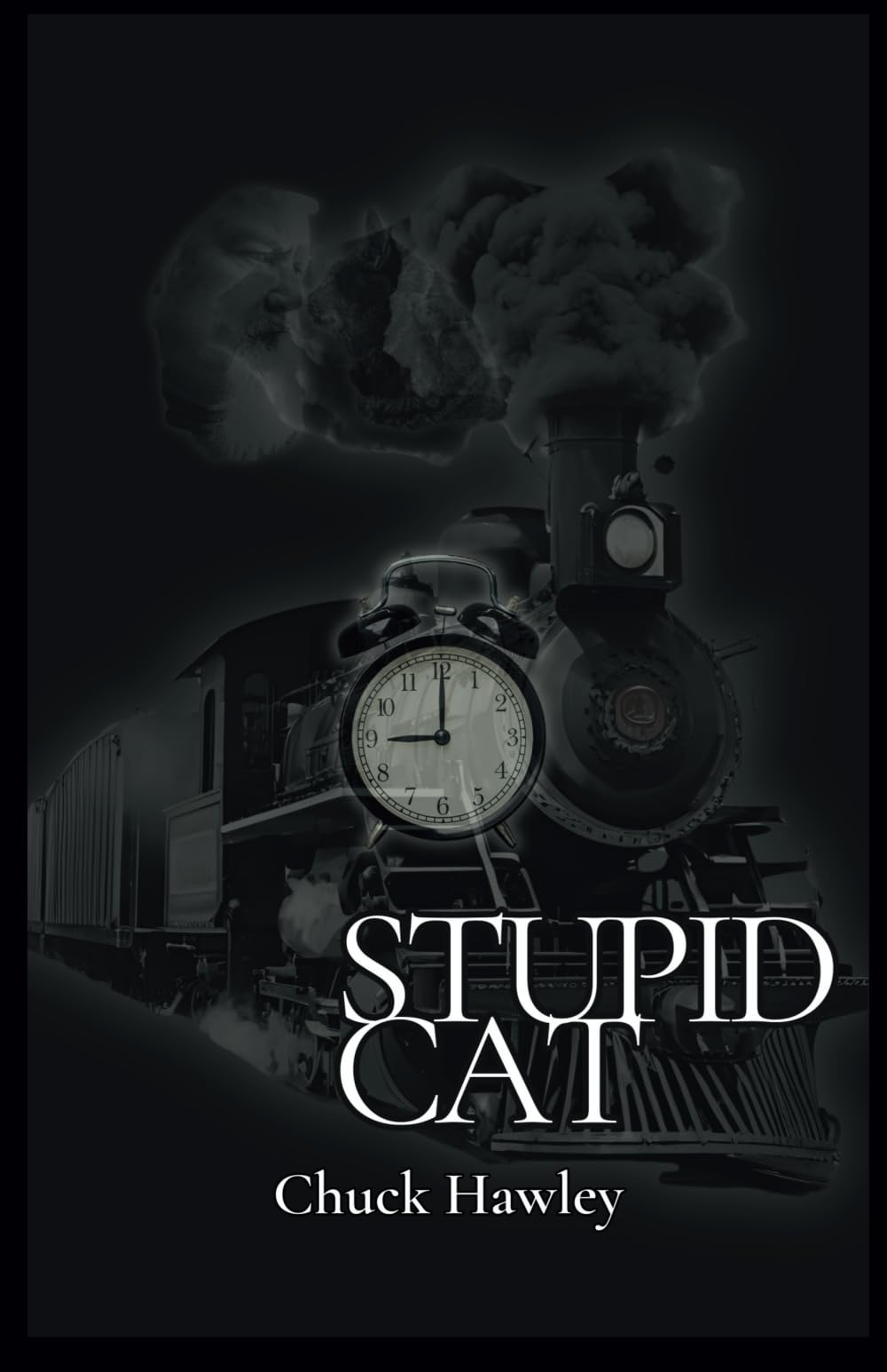 Stupid Cat