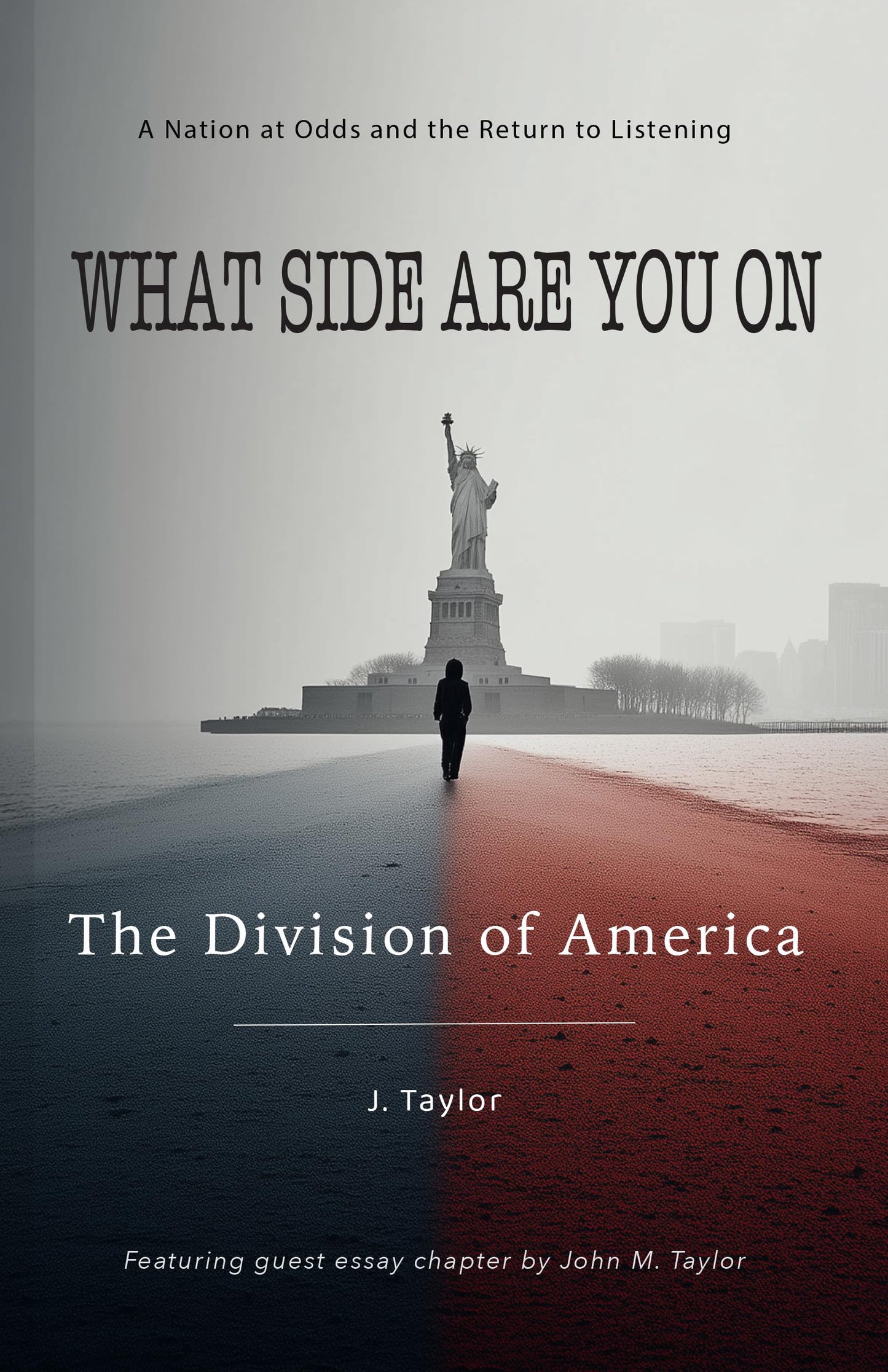 What Side Are You On - The Division of America