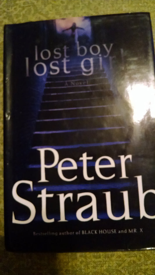 lost boy lost girl: A Novel - 2605