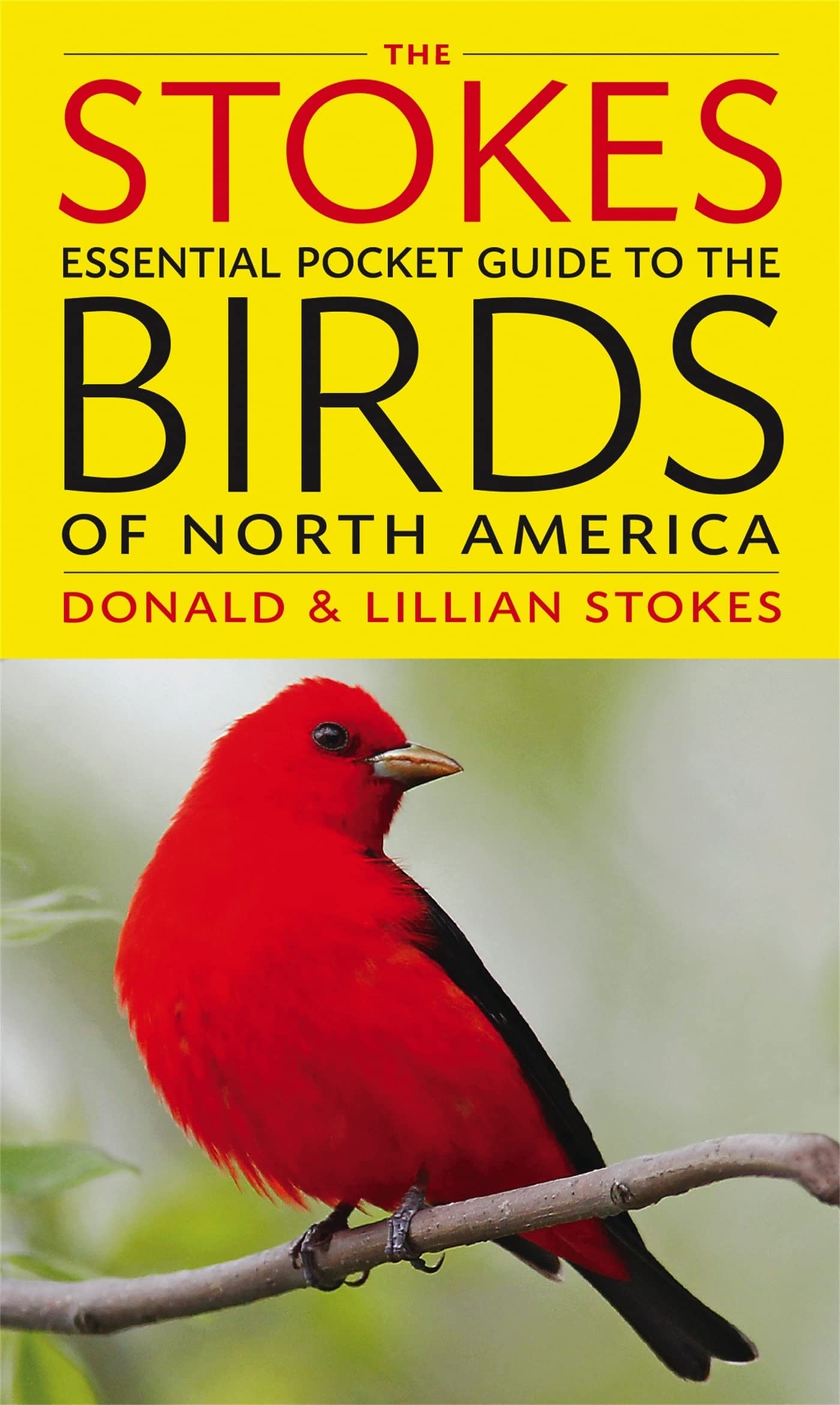 The Stokes Essential Pocket Guide to the Birds of North America - 9724