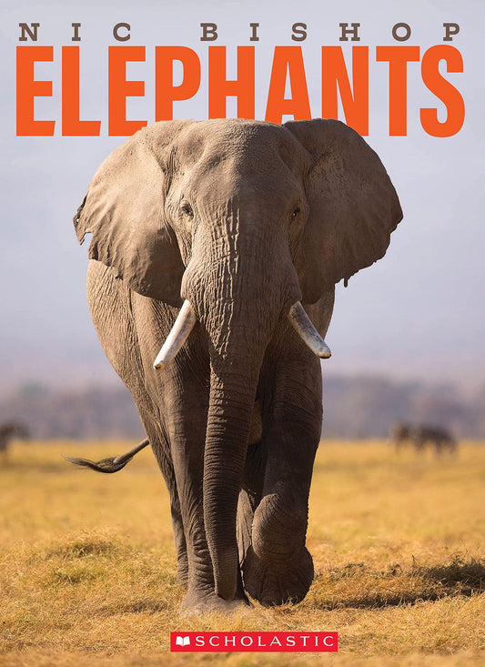 Nic Bishop Elephants - 6776