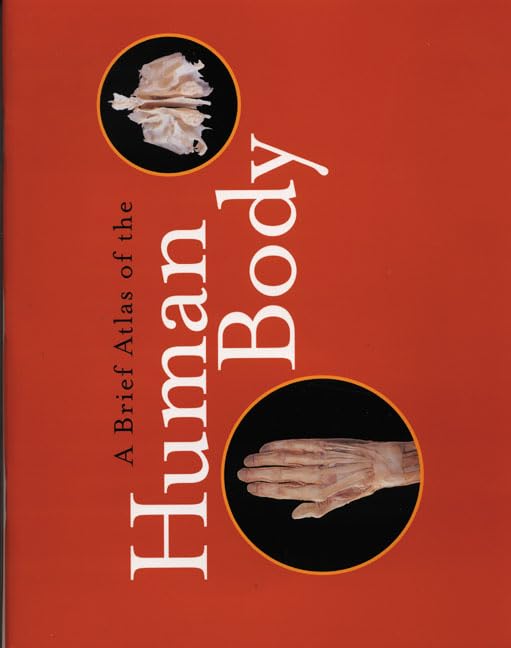 A Brief Atlas of the Human Body - 762