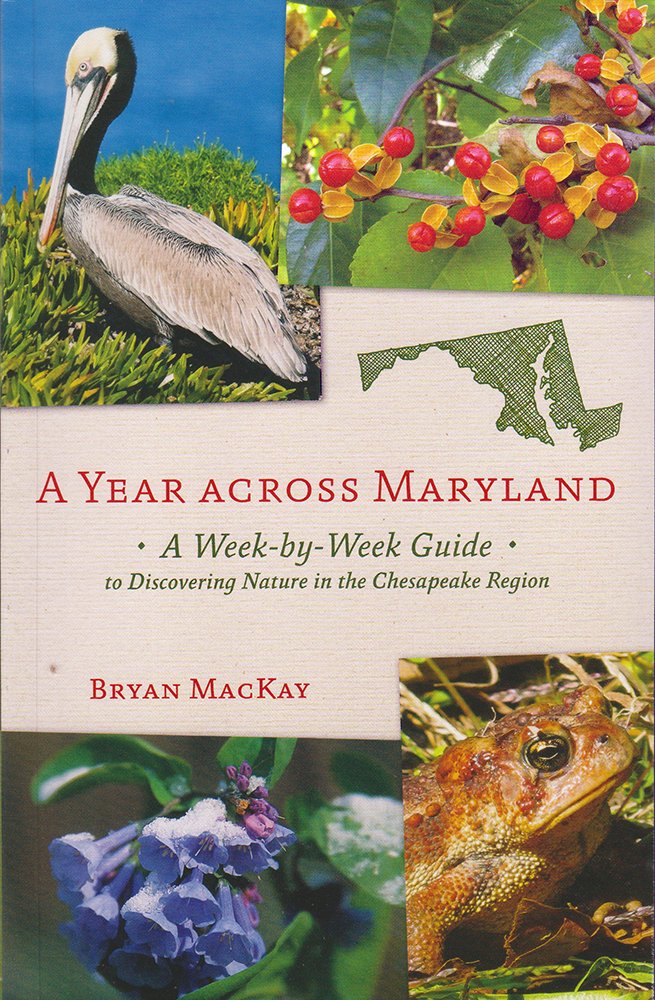 A Year across Maryland: A Week-by-Week Guide to Discovering Nature in the Chesapeake Region - 2263