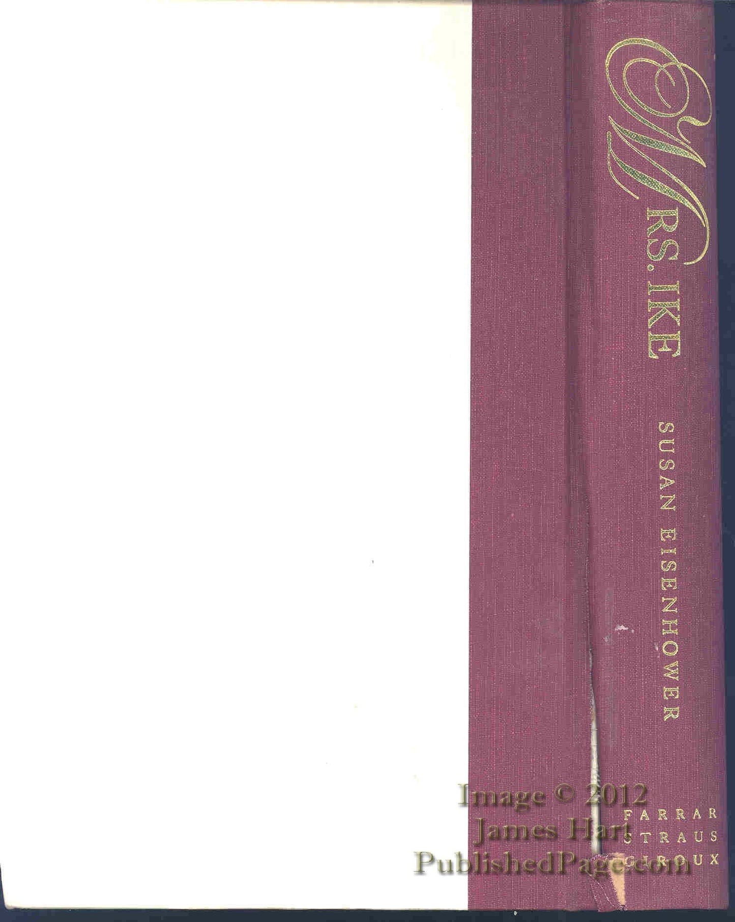 Mrs. Ike: Memories and Reflections on the Life of Mamie Eisenhower - 3600