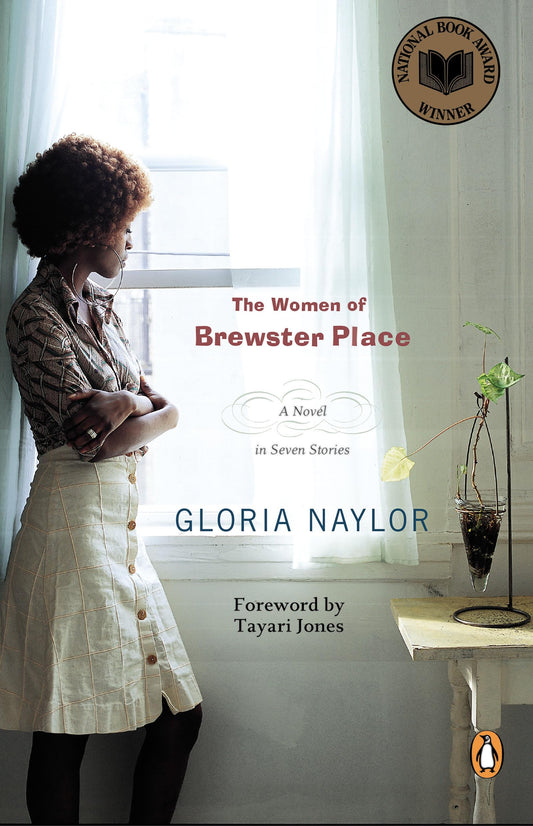 The Women of Brewster Place - 3545