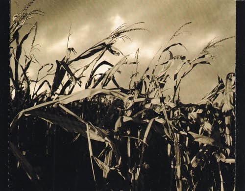 Scarecrow