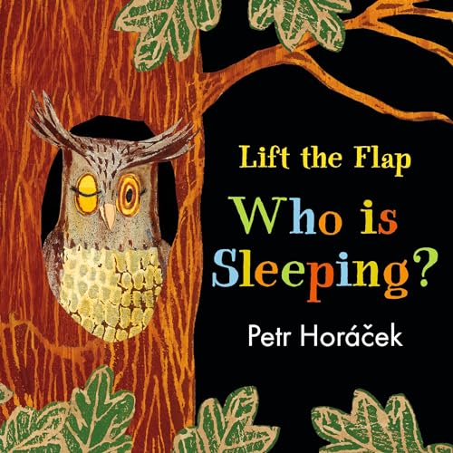 Who Is Sleeping? (A Lift the Flap Book) - 3513