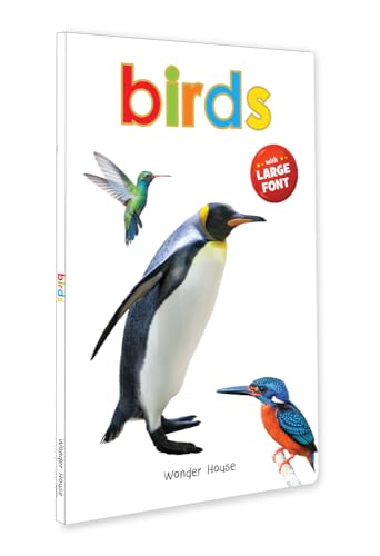 Birds (Big Board Books) - 3760