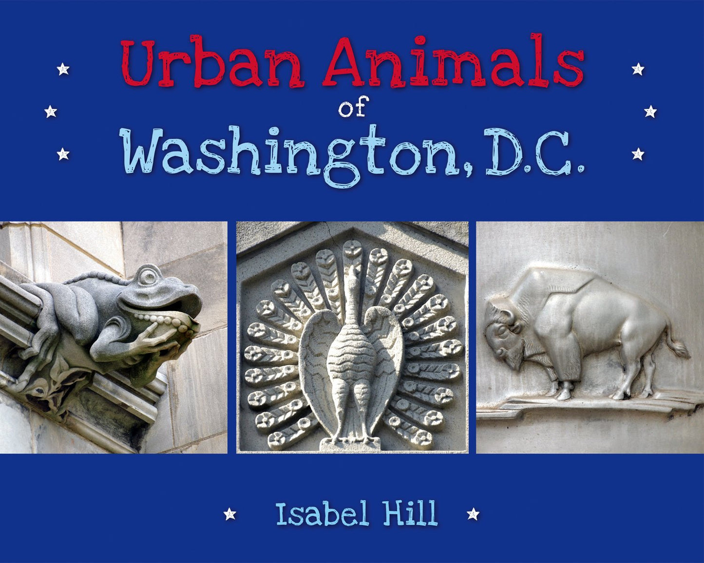 Urban Animals of Washington D.C. - 3072