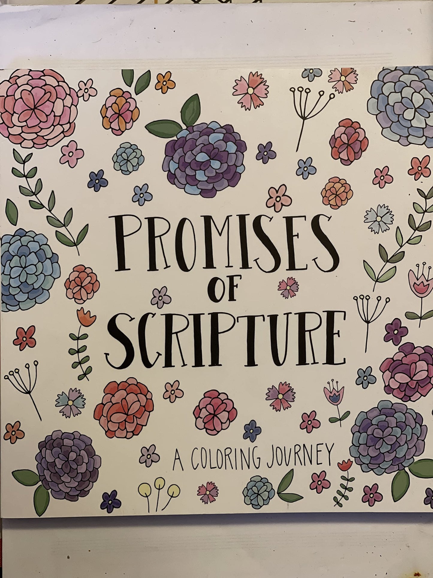 Promises of Scripture a Coloring Journey - 6635