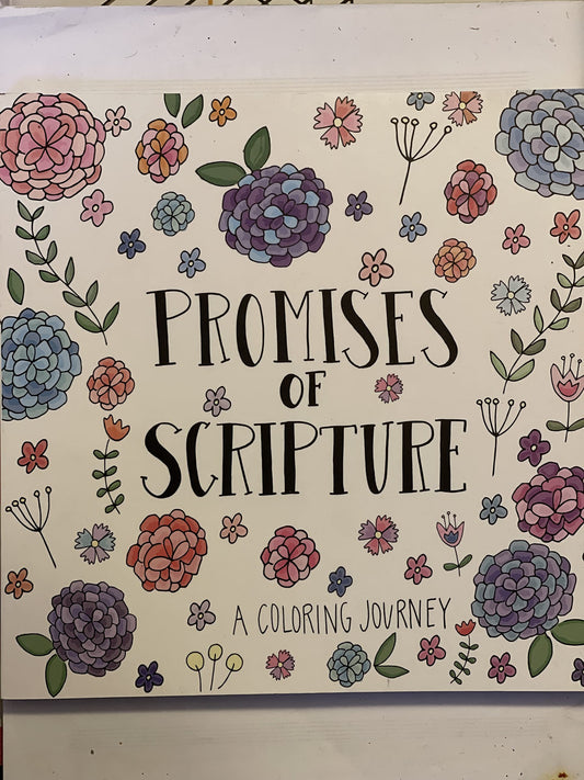 Promises of Scripture a Coloring Journey - 6635