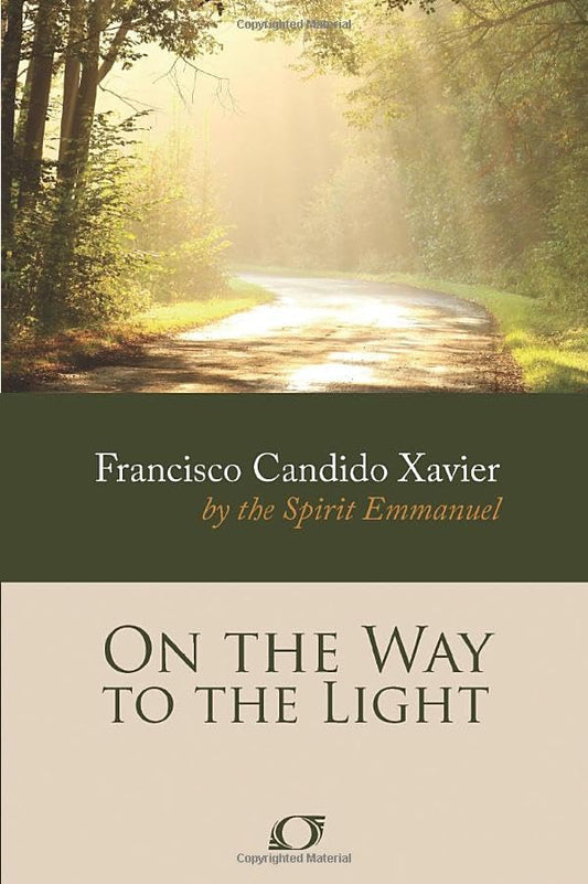 On the Way to the Light - 4130