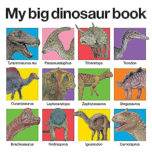 My Big Dinosaur Book (My Big Board Books) - 3874