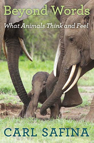 Beyond Words: What Animals Think and Feel - 2674