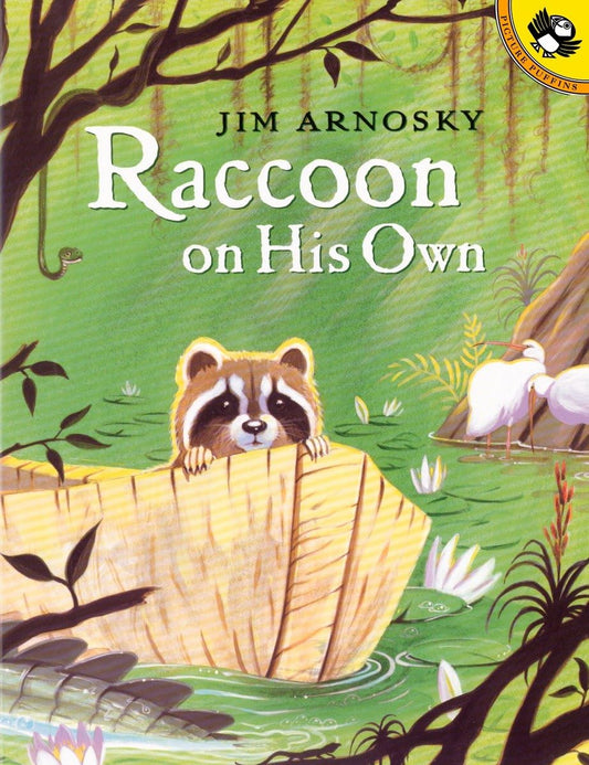 Raccoon On His Own (Picture Puffin Books) - 3673