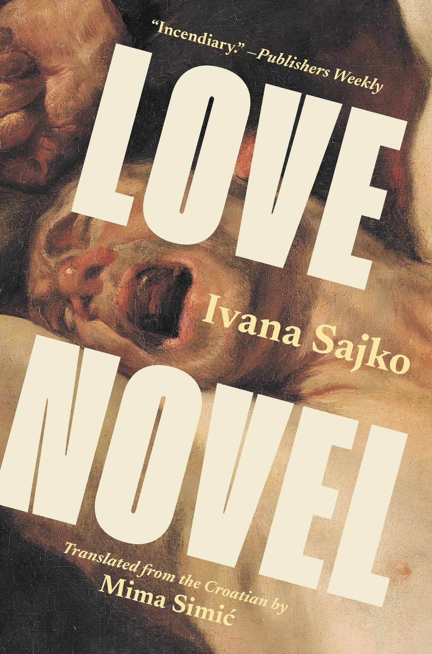 Love Novel (Biblioasis International Translation Series, 44) - 5886