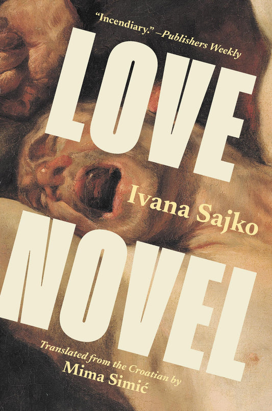 Love Novel (Biblioasis International Translation Series, 44) - 5886