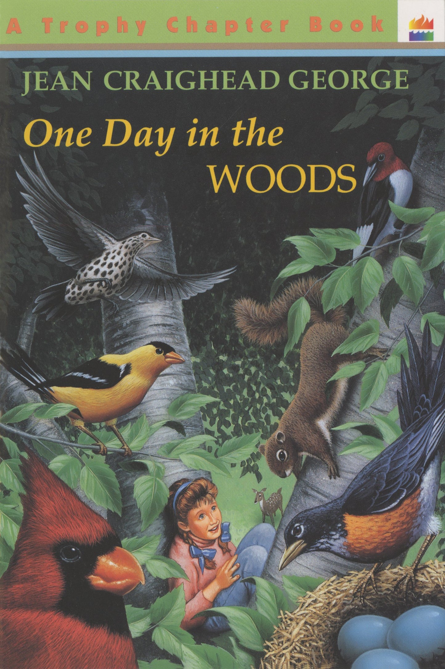 One Day in the Woods - 7492