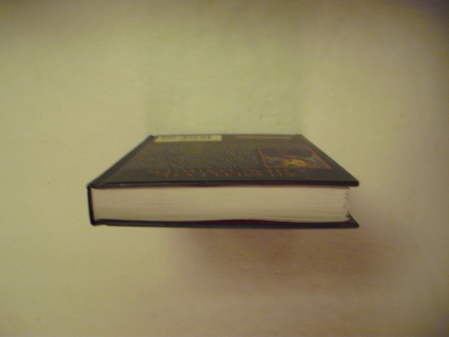 Beyond the Valley of Thorns-The Land of Elyon- Book 2 - 1239