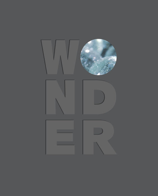 Wonder - 1159