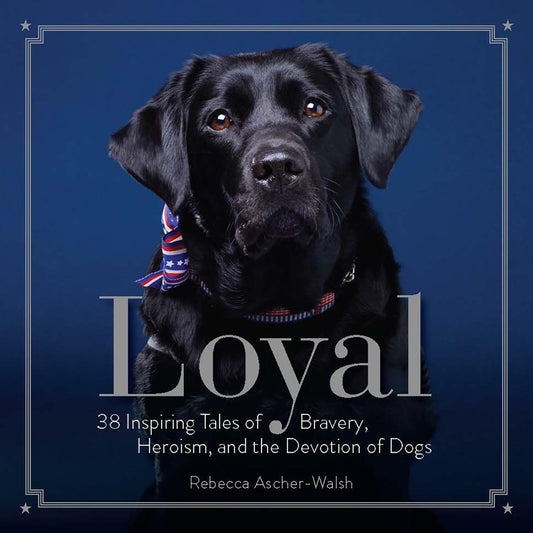 Loyal: 38 Inspiring Tales of Bravery, Heroism, and the Devotion of Dogs - 3145
