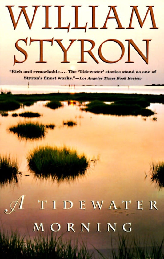 A Tidewater Morning - 9003