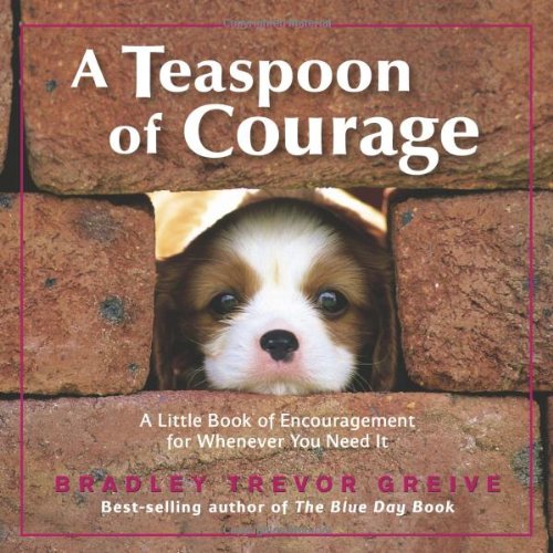 A Teaspoon of Courage: A Little Book of Encouragement for Whenever You Need It - 7520